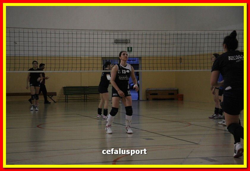 150508_Primula 019_tn.jpg